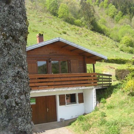 Chalet Les Jonquilles La Bresse Exterior foto